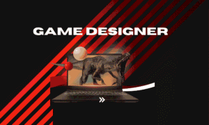 Game Designer